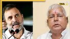 Bihar News: नया प्रदेश अध्यक्ष बनाकर कांग्रेस ने राजद को दिया संदेश, चुनाव में होगा बड़ा 'खेला'! 