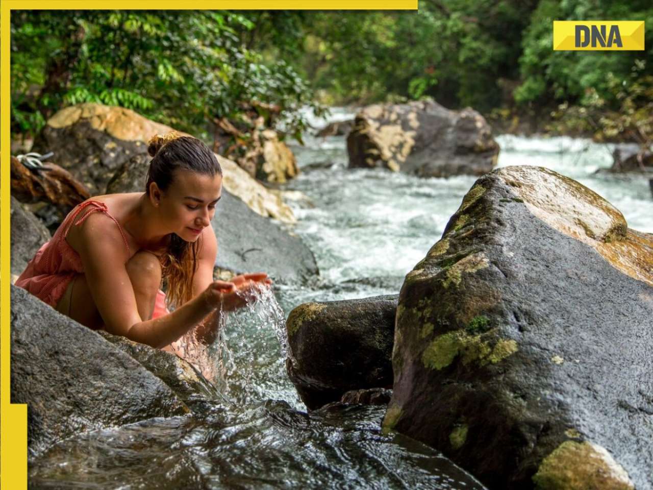 What is Japanese technique Shinrin Yoku or Jungle Bathing, what it does etc