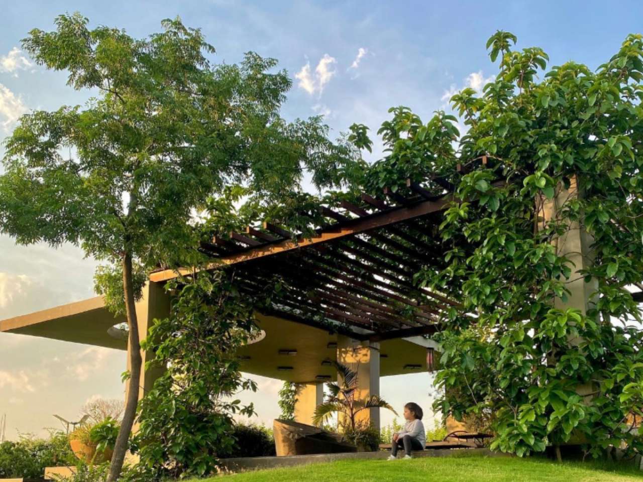 Price of Dhoni's farmhouse