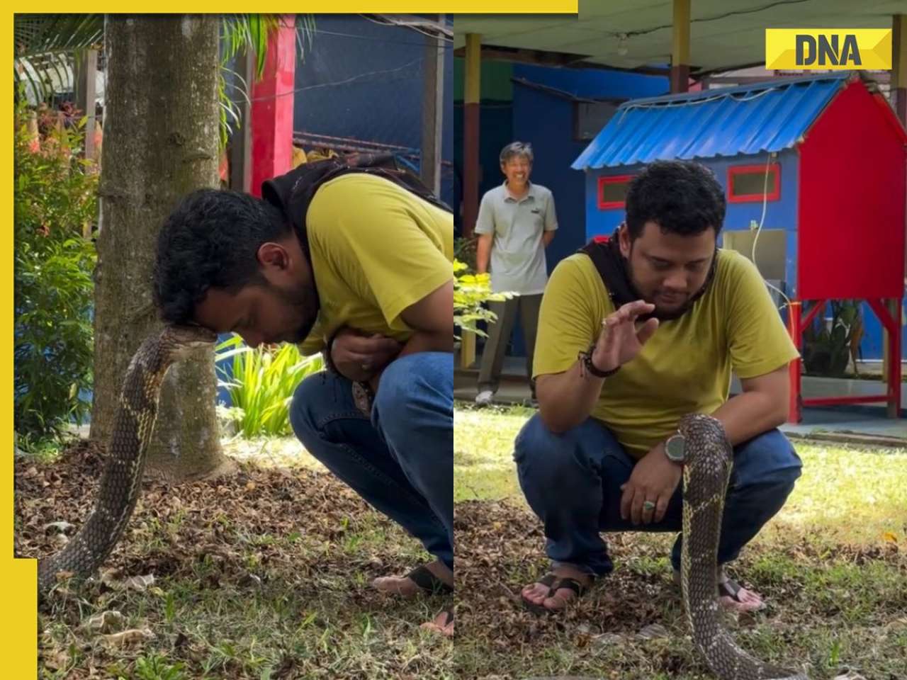 VIRAL VIDEO: Man confronts COBRA, watch unexpected man-snake friendship!