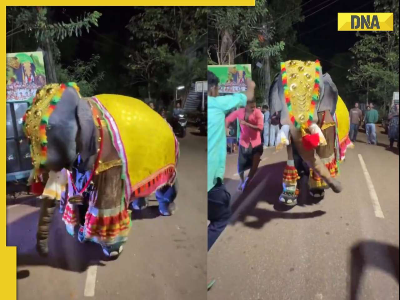 Viral video: 'Human Elephant' dances with the crowd to ‘Bing Bing Boo’, netizens appreciate creativity