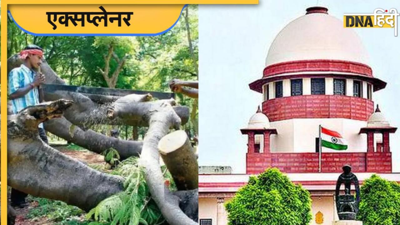 कांचा गाचीबोवली में जंगल की कटाई पर क्यों भड़का सुप्रीम कोर्ट, अफसरों को दी जेल भेजने की चेतावनी, समझिए पूरा मामला
