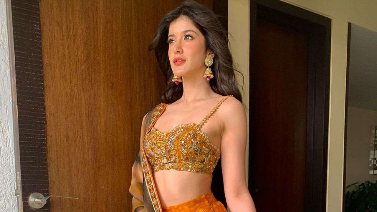 Shanaya Kapoor: Tu Yaa Main