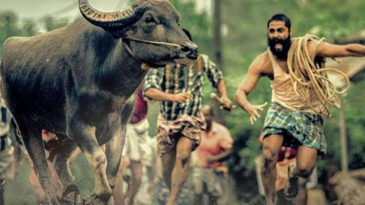 Jallikattu (2019)