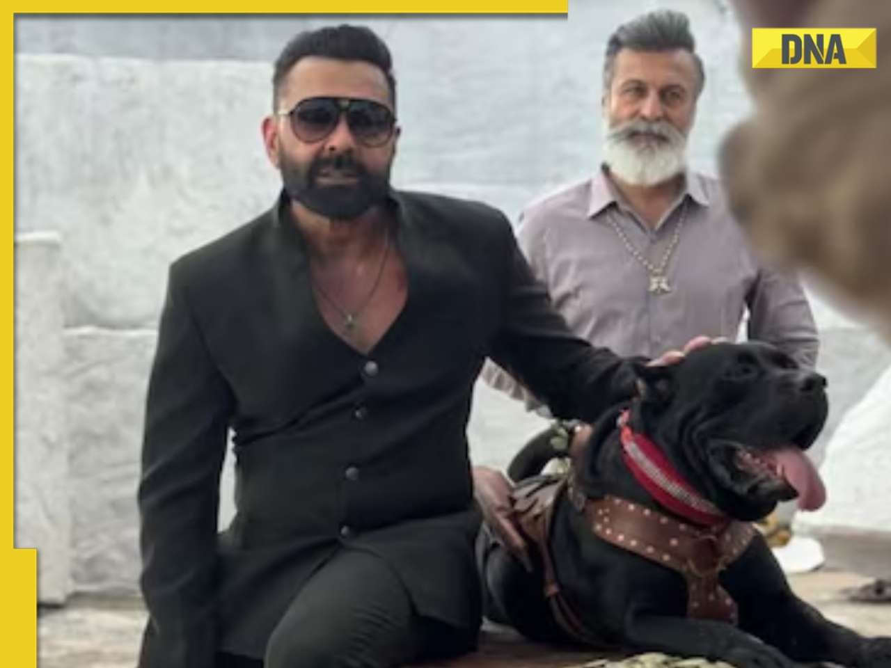 Not Salman Khan's Sikandar, Vicky Kaushal's Chhaava, Sunny Deol's Jaat, this Bobby Deol film has created a unique record in 2025, its name is..