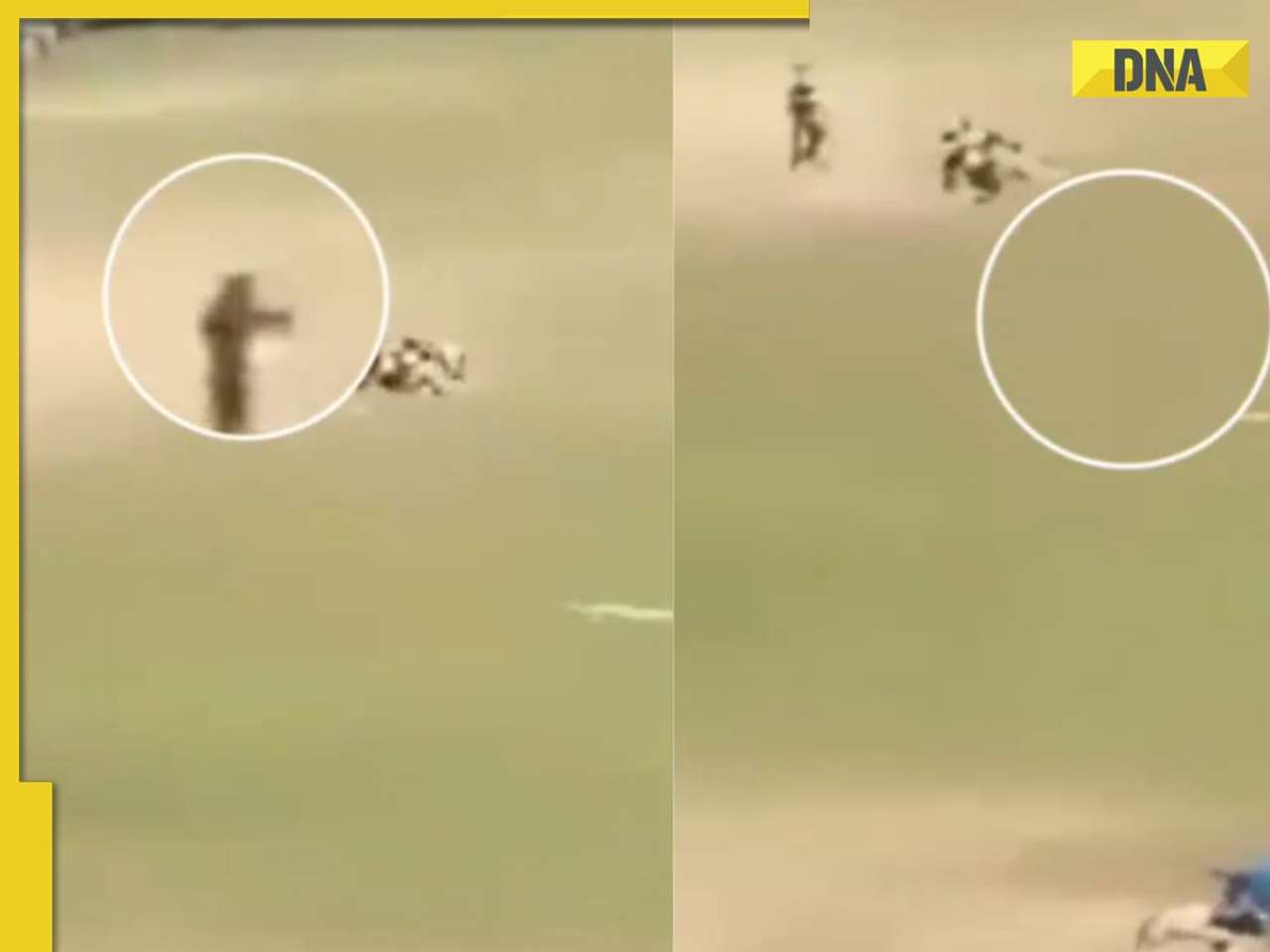 Viral video: Terrorists attacking tourists in Pahalgam captured on camera, WATCH what happened...