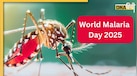World Malaria Day 2025: भीषण गर्मी के साथ मलेरिया का अटैक! कैसे इस खतरनाक बीमारी से खुद को रखें सेफ?