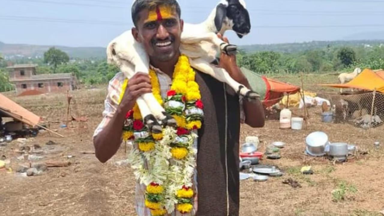 रिजल्ट के समय भी चरा रहे थे भेड़