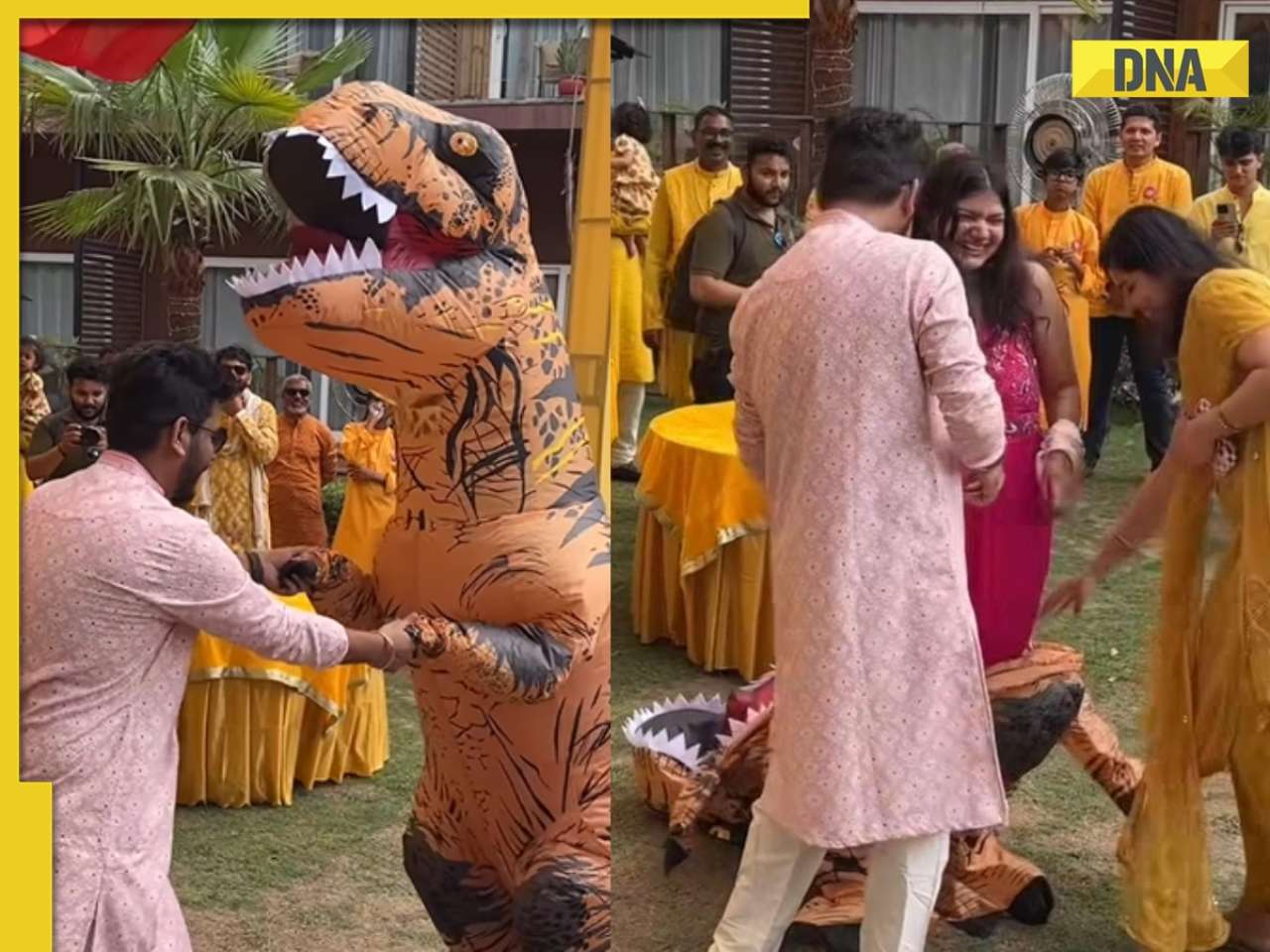 Bride's dinosaur costume at haldi ceremony video takes over social media, netizens say 'this country can do...