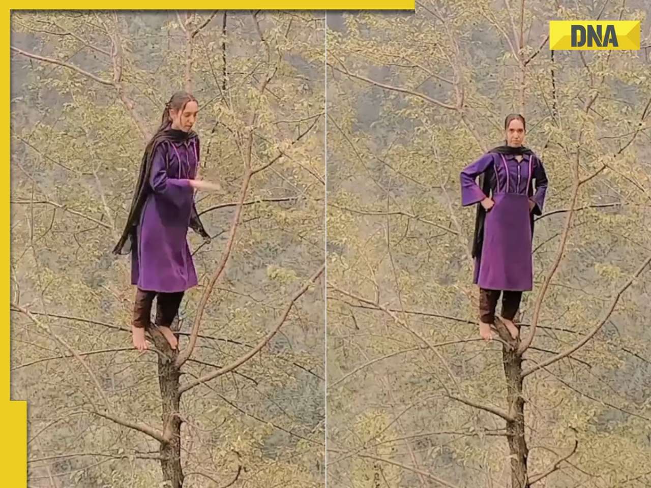 Viral video: Kashmiri woman dances on tree to ‘Jhalla Wallah’, netizens say 'Bollywood could never'