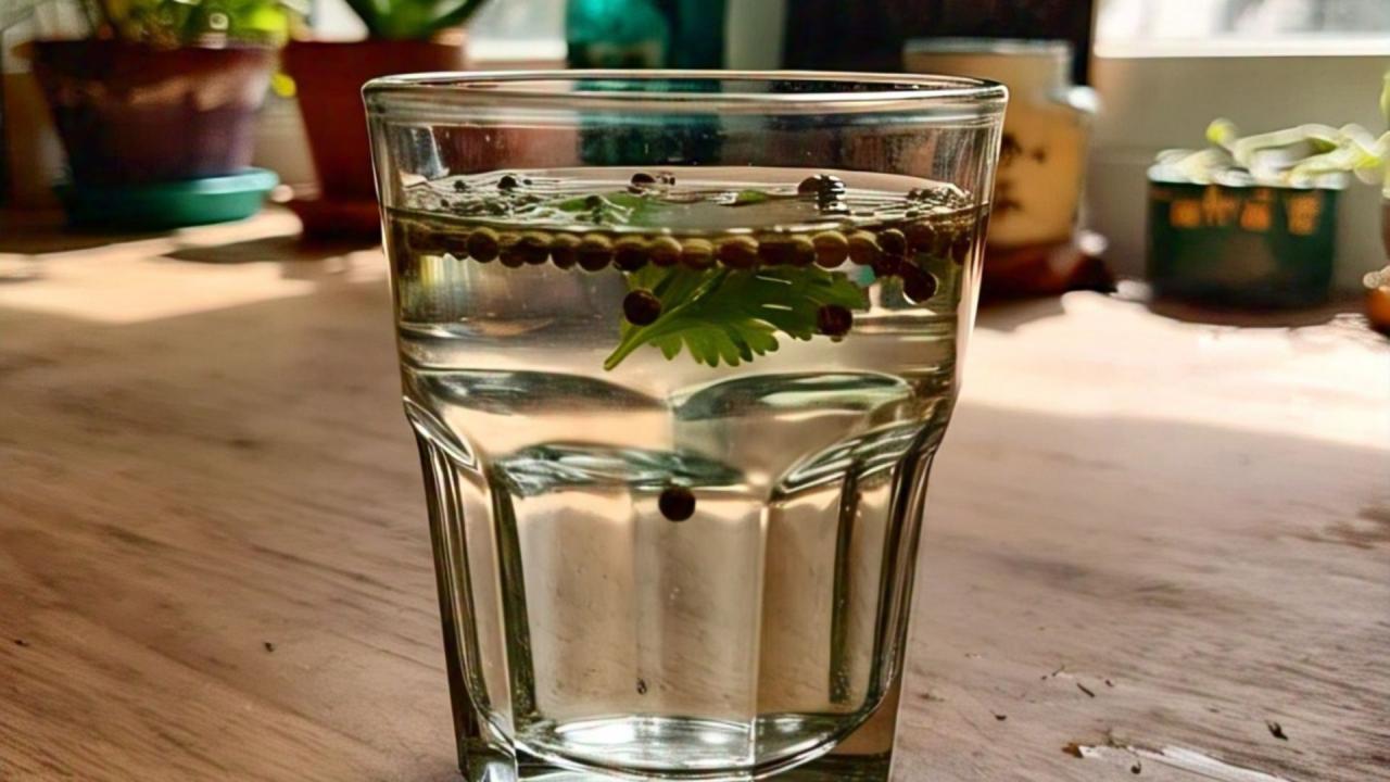 कैसे बनाएं धनिया का पानी