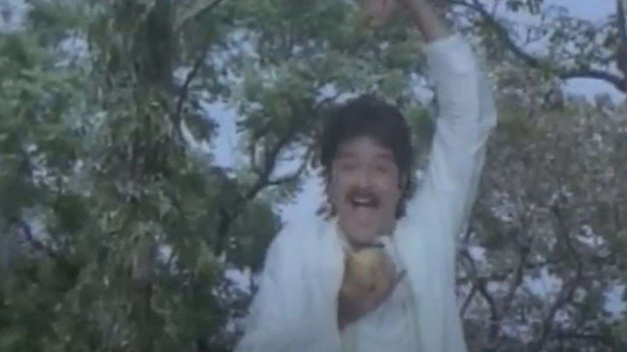 Bataata Vadaa: Hifazat