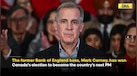  Canada Election: Mark Carney Wins Canada Elections, What It Means For Ties With India? | Liberals 