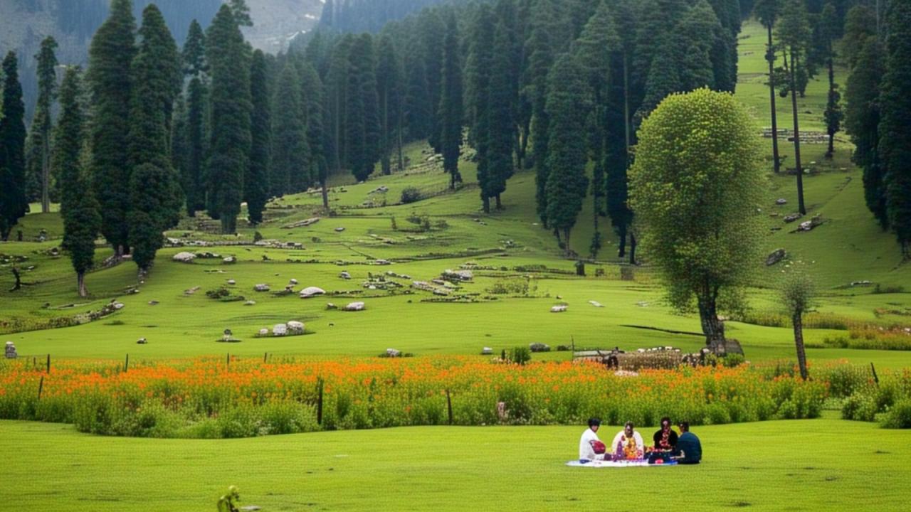 Gulmarg, Sonmarg, etc