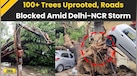  Delhi News: 100+ Trees Uprooted, Roads Blocked as Storm Hits Delhi-NCR | Delhi Weather Today 