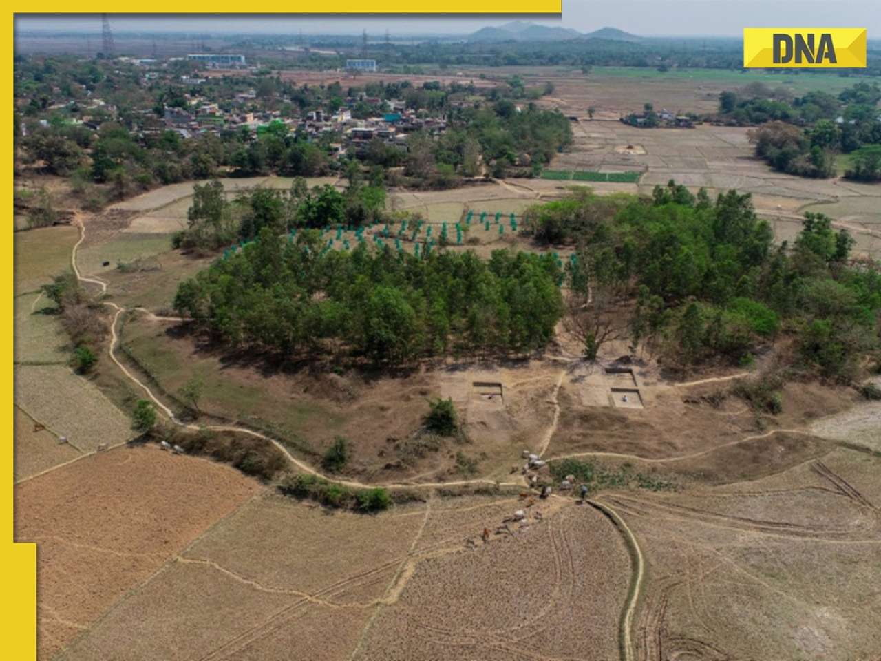 Excavation in THIS Indian state uncovers 4000-year-old treasure; check details