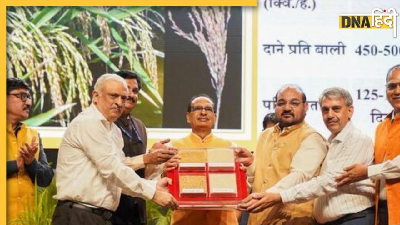 बदलेगा खेती का भविष्य! भारत ने बनाई दुनिया की पहली Genome-Edited चावल की 2 किस्में