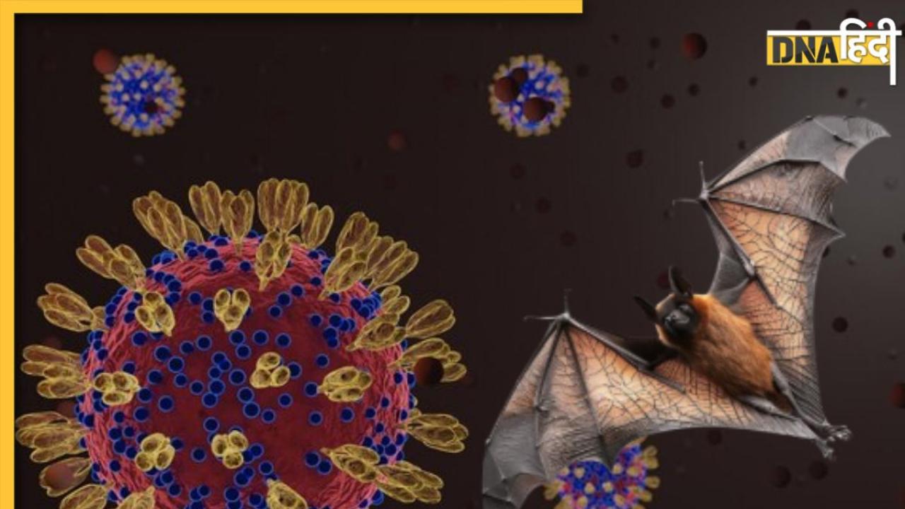 Nipah Virus In Kerala: केरल में मिला निपाह वायरस का संदिग्ध मामला! 42 साल की महिला में दिखे लक्षण