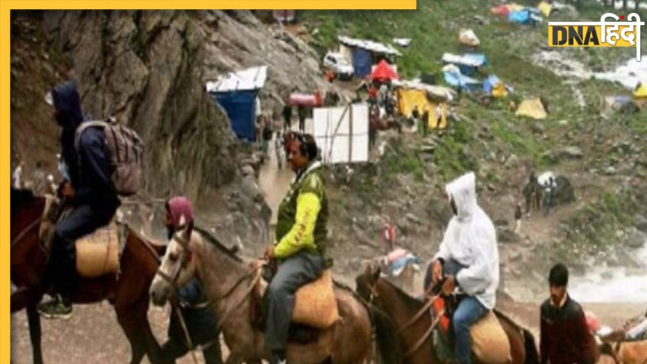 Kedarnath धाम जा रहे हैं तो पढ़ लें ये खबर, घोड़े-खच्चरों को लेकर हुआ ये बड़ा फैसला 