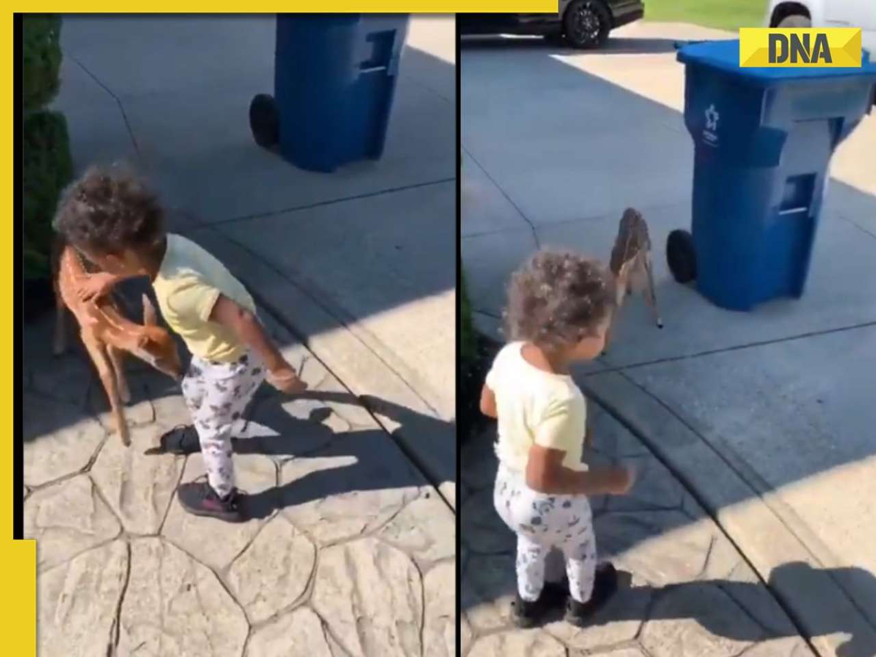 'Baby meets baby': Internet melts over toddler’s adorable moment with baby deer in heartwarming viral video