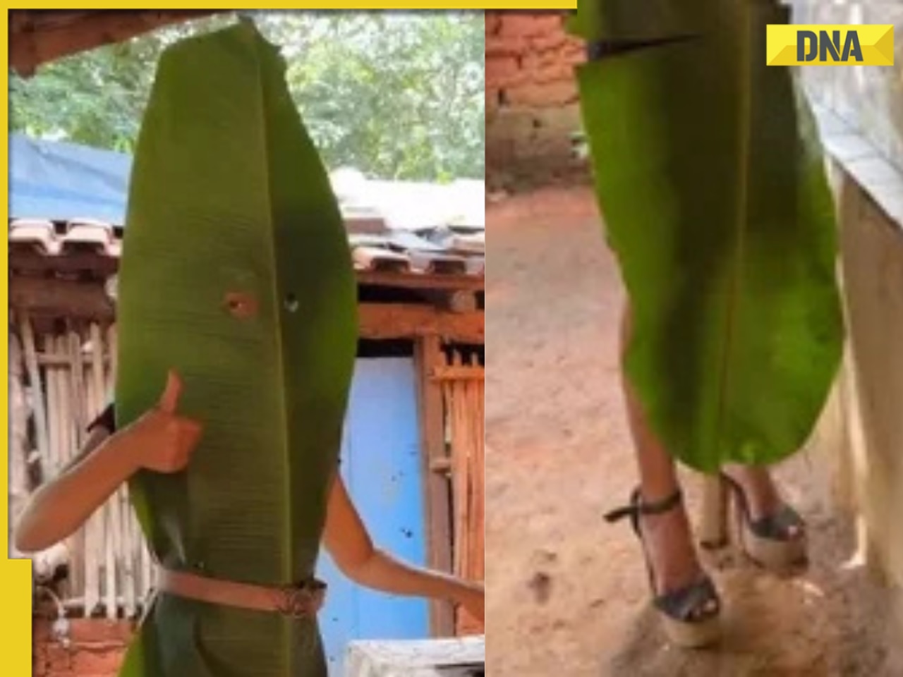 Viral video: This woman wears leaf dress while cooking, leaves internet stunned, netizens say, 'don't let Balenciaga...
