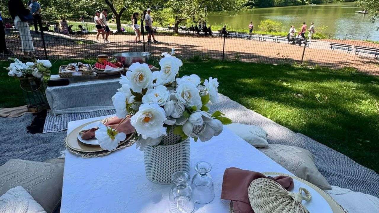 Elegant picnic setup