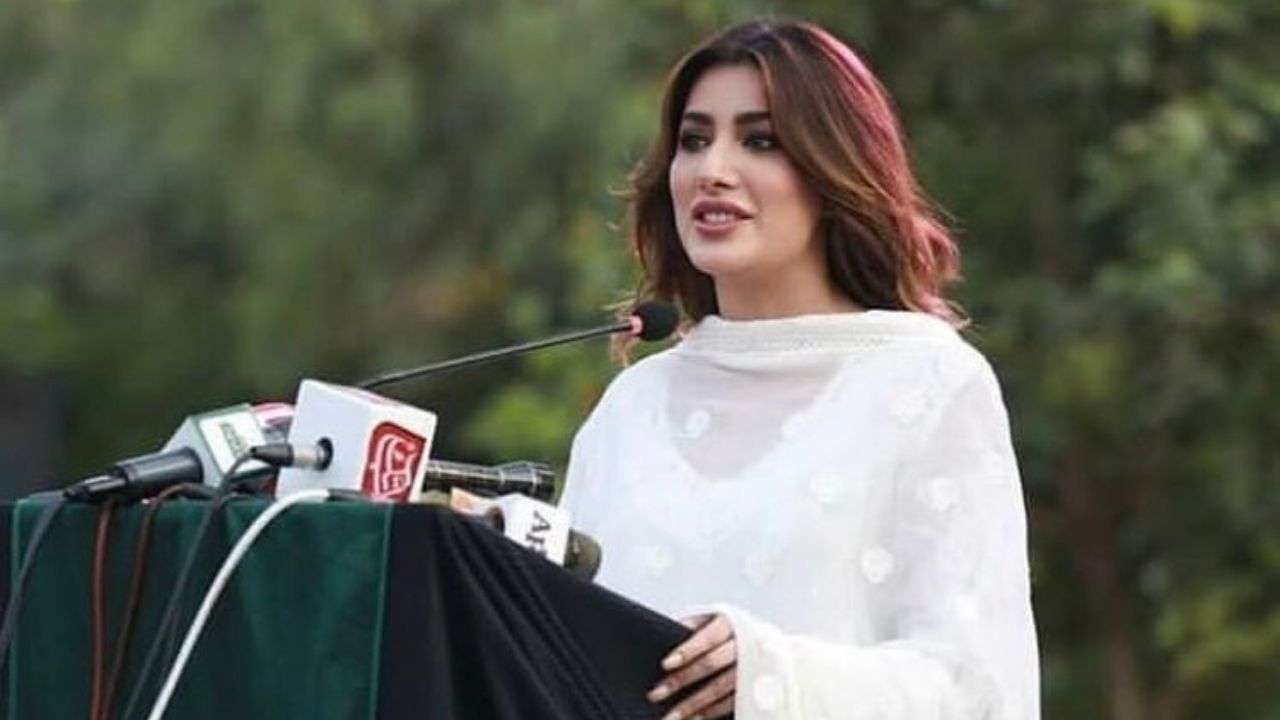 Mehwish Hayat