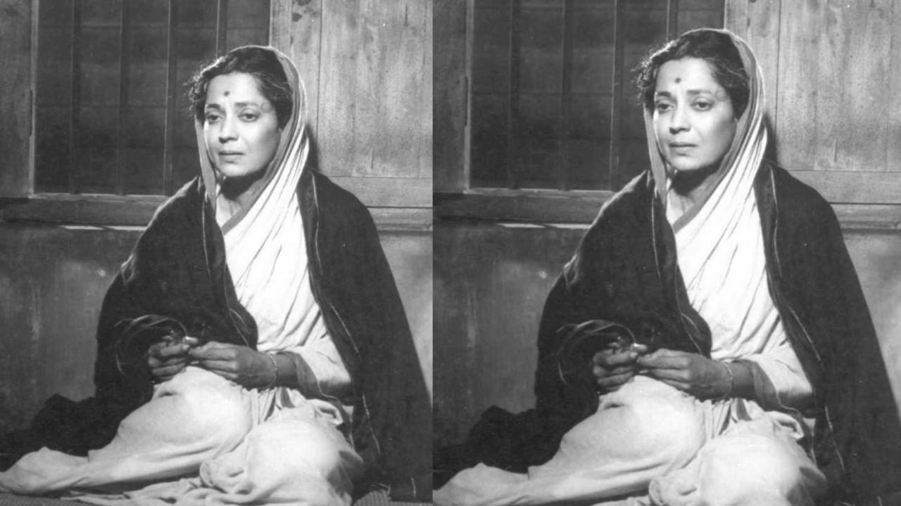 Leela Chitnis Career