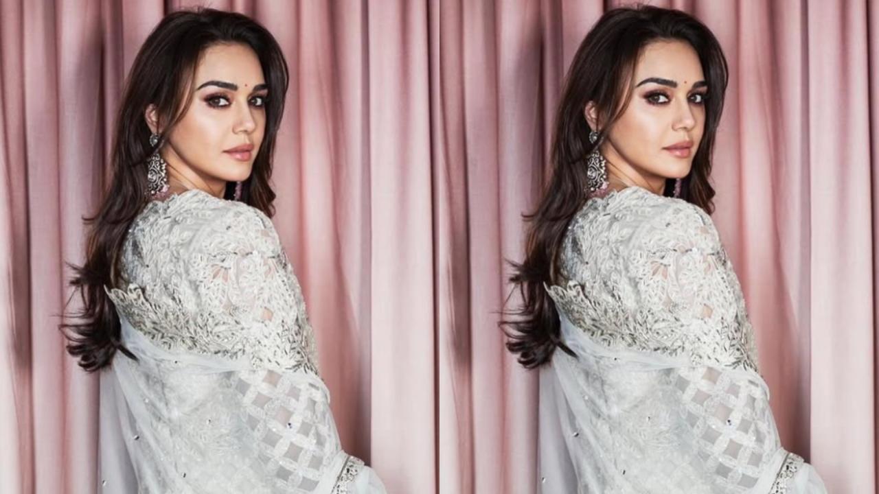 Preity zinta Filmy Career