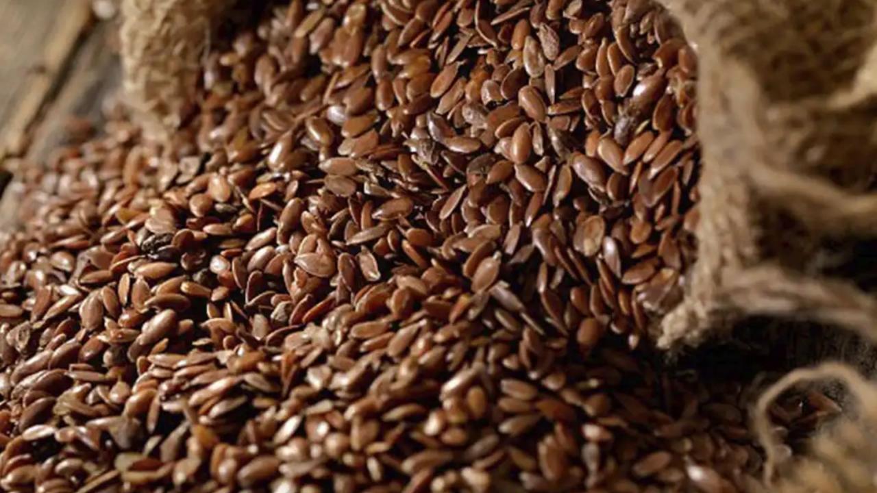 Flax Seeds
