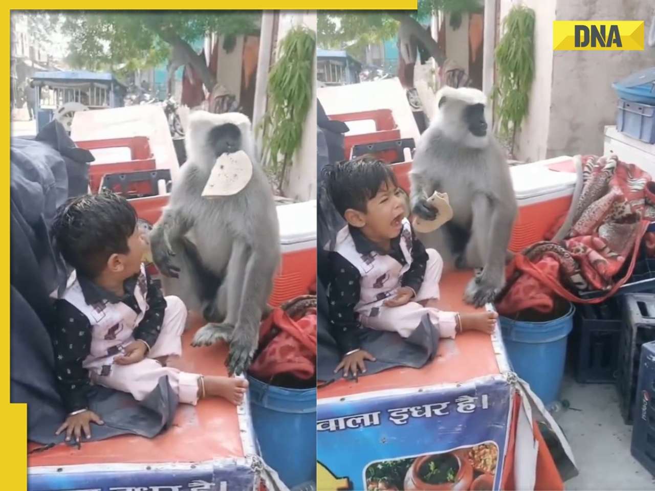 Viral Video: Father films reel as kid cries after langoor snatches food from his hands, netizens slam 'bad parenting' 