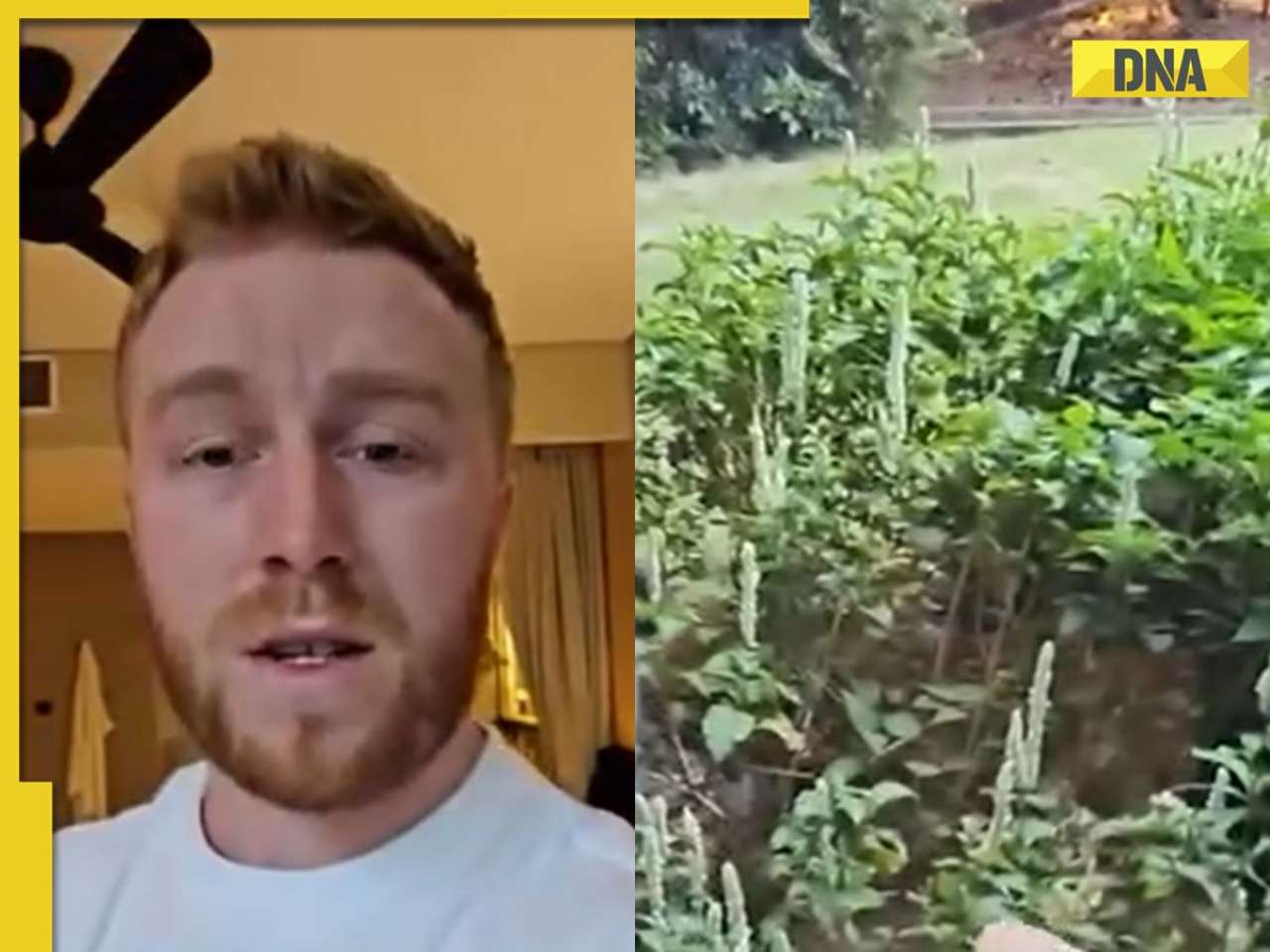Viral Video: Tourist in Thailand ‘shaking’, vows to never ‘go out again’, what he saw outside his hotel room will SHOCK you 