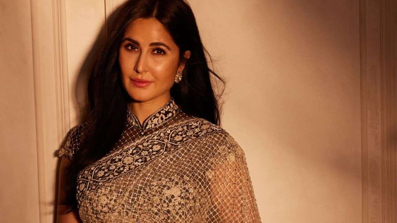 Net and velvet saree