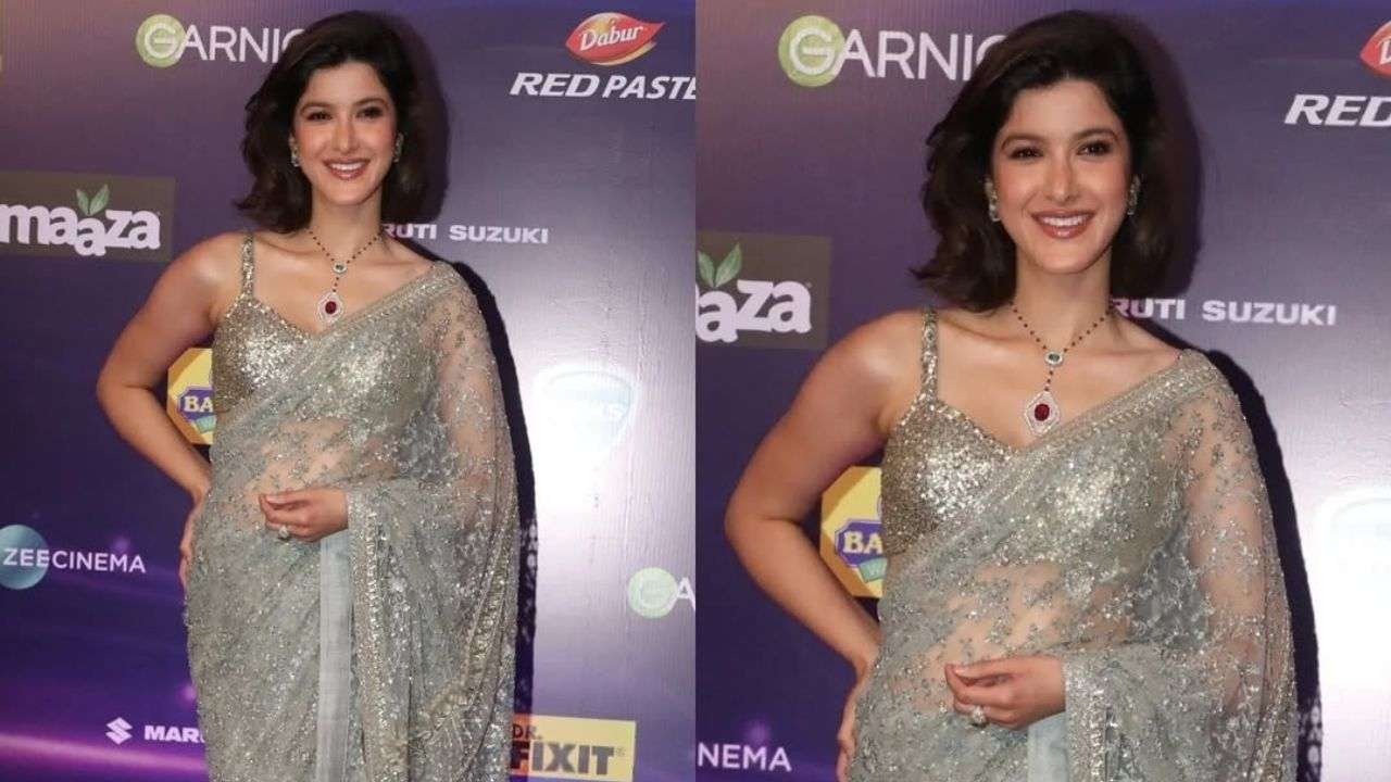 Embroidered silver saree at Zee Cine Awards 2025