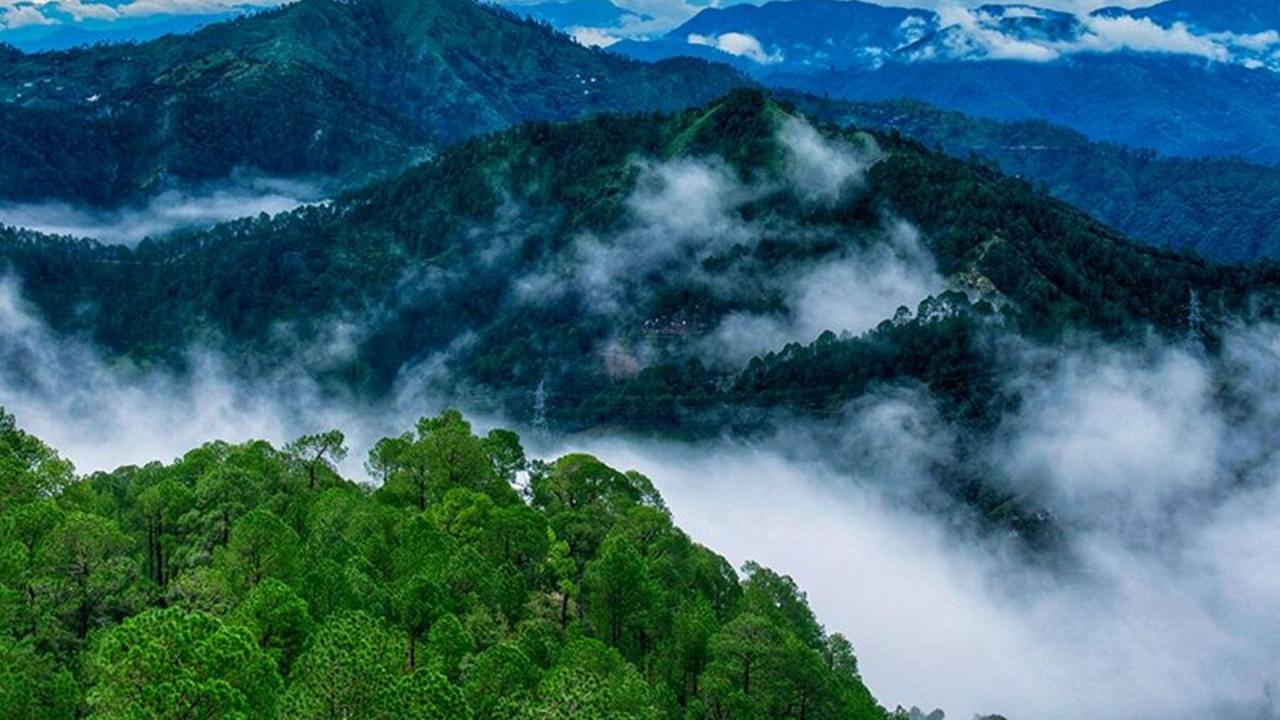 कसौली