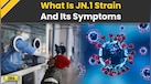  Covid 19 News: Covid-19 Cases Surge Again: Key Facts About the JN.1 Variant and Its Symptoms 