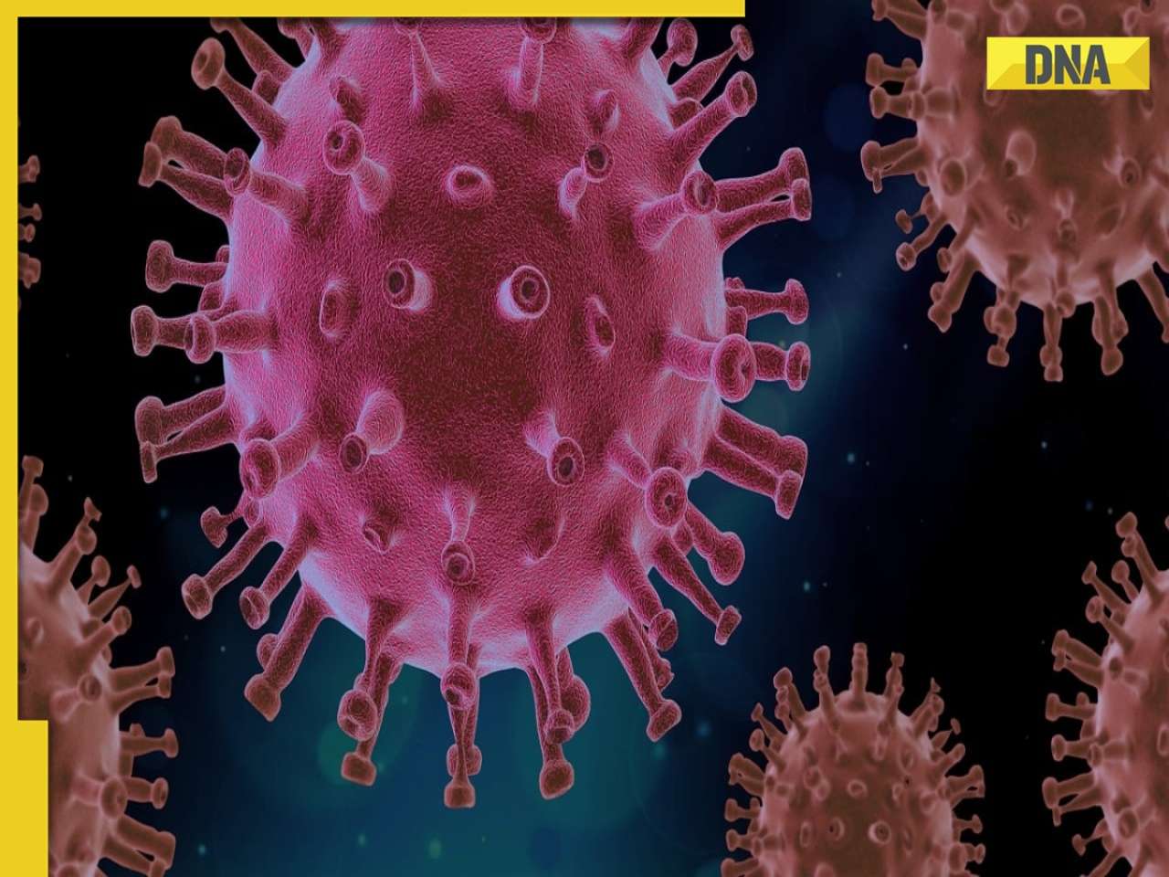 India Covid-19 Cases Live: 257 active cases in India so far, Tamil Nadu, Maharashtra worst hit