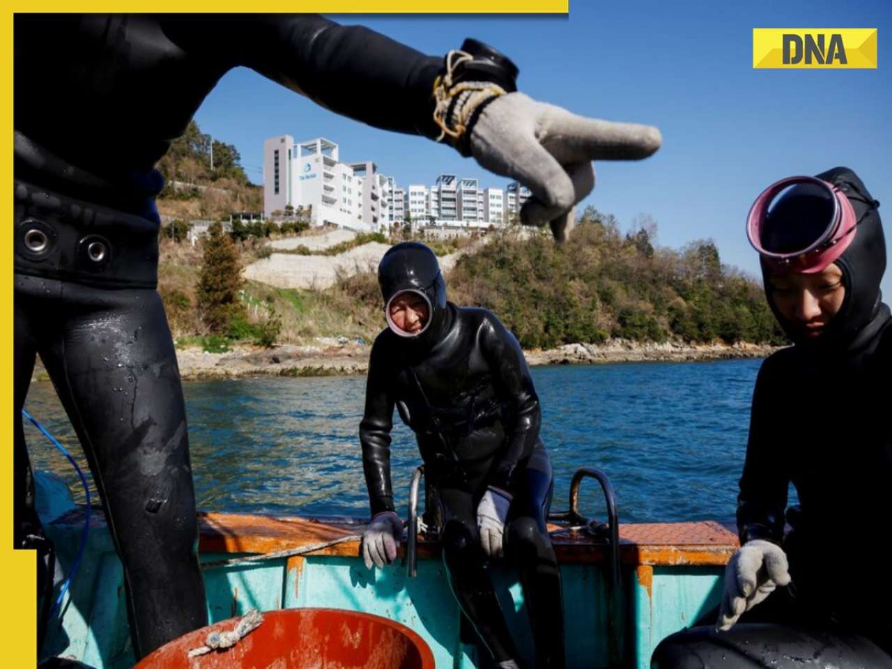 Meet women divers who have 'superpower' in their genes, can dive into freezing sea without oxygen support, are known as..., they are from...