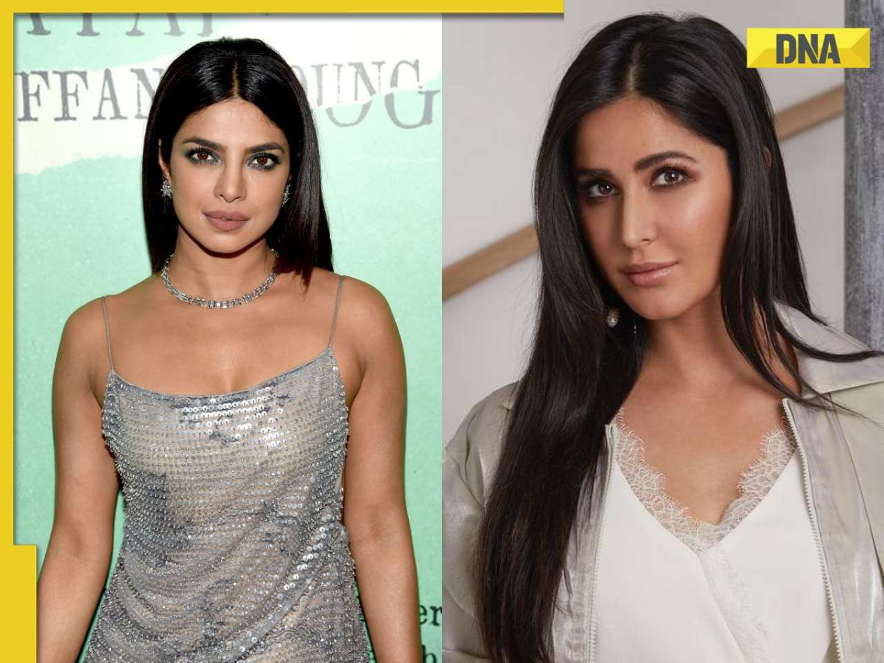 Priyanka Chopra, Katrina Kaif and other Bollywood beauties who tried ruling South industry but the crown didn't fit