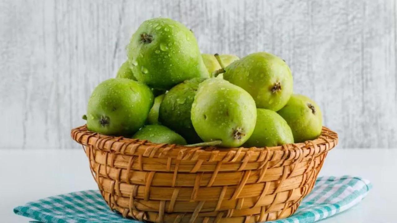नाशपाती