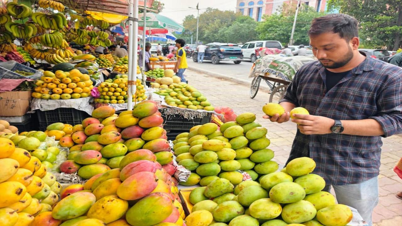 सुगंध से कर सकते हैं पहचान 