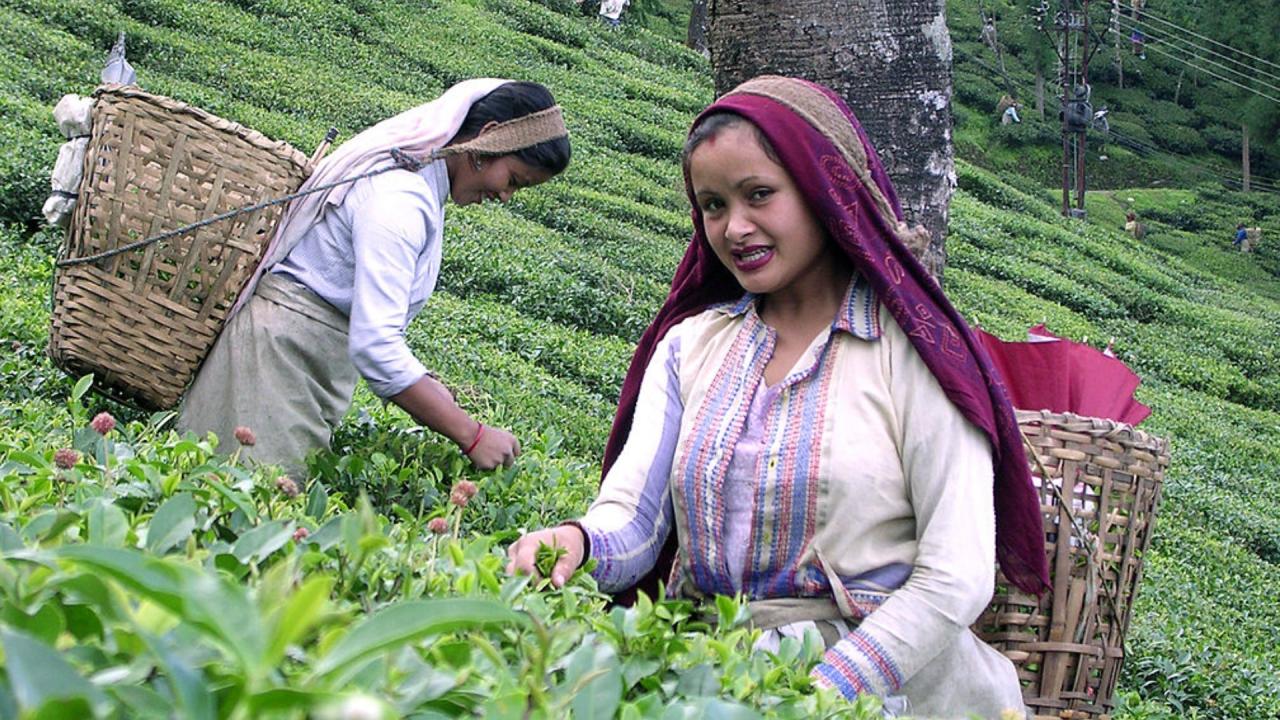 भारत 