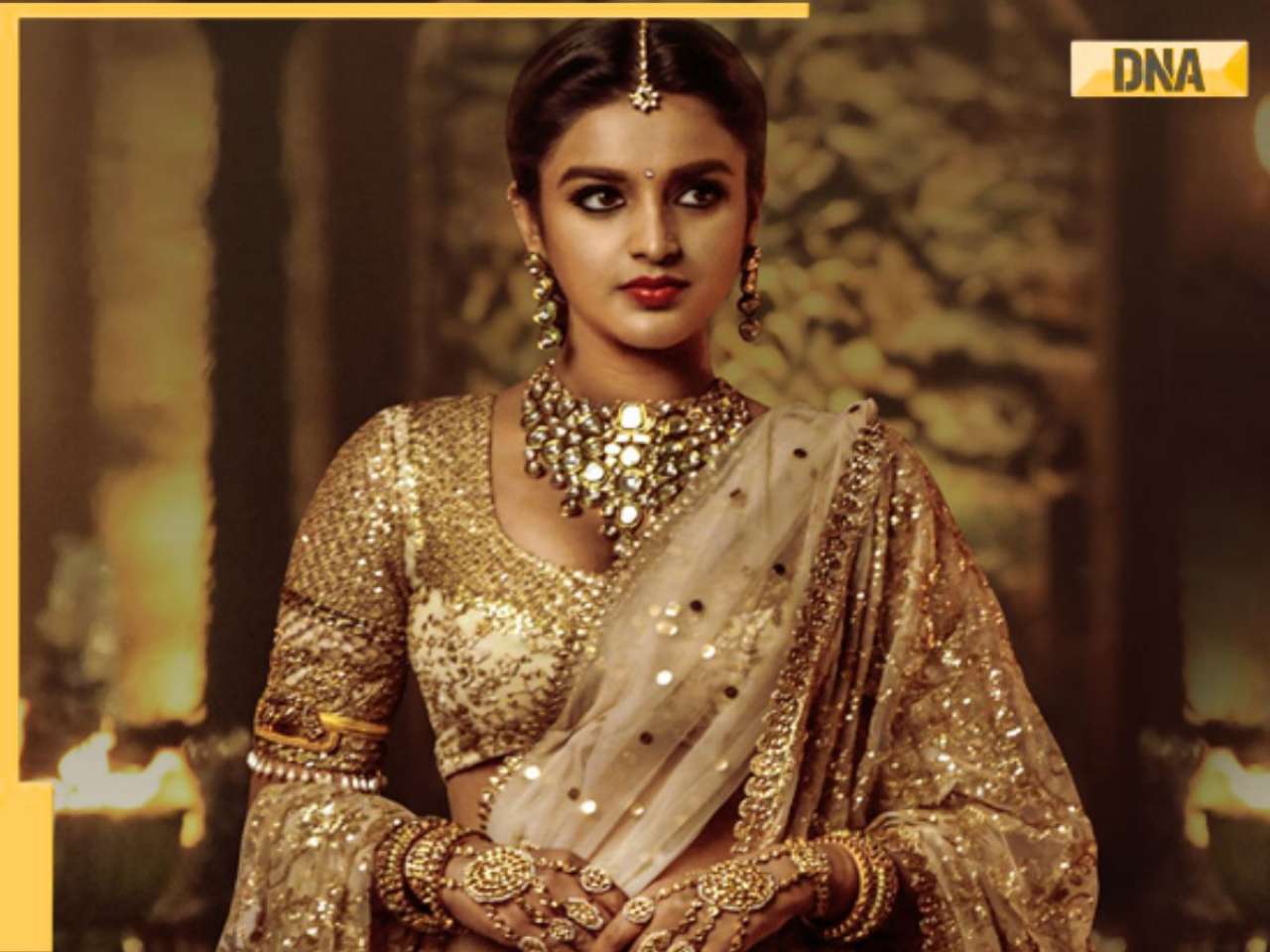 Nidhhi Agerwal on Hari Hara Veera Mallu, reveals why she hasn't done Hindi film after Munna Michael: 'South mein mujhe...' | Exclusive