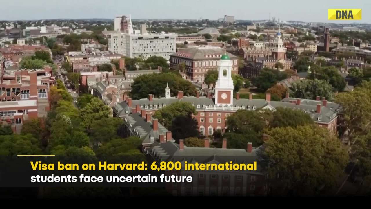 Trump Harvard News: What Trump’s Pause on Foreign Admissions Means For Indian Students?