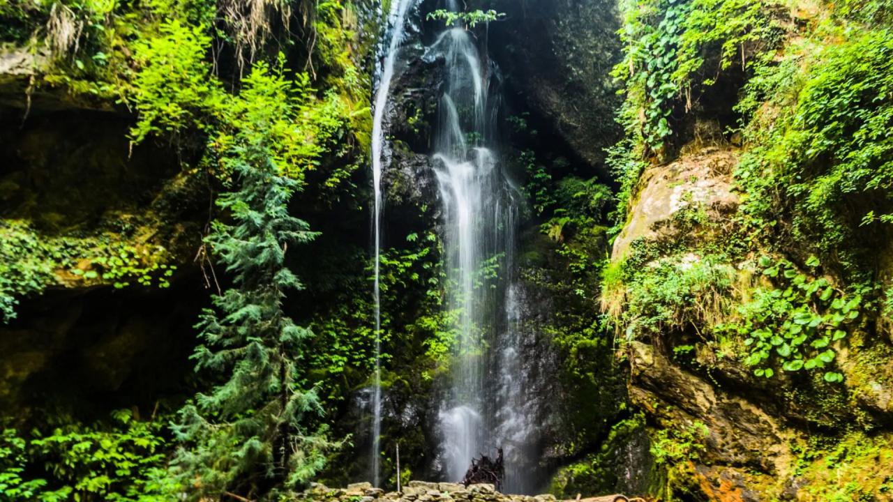 Places to Visit in Jibhi