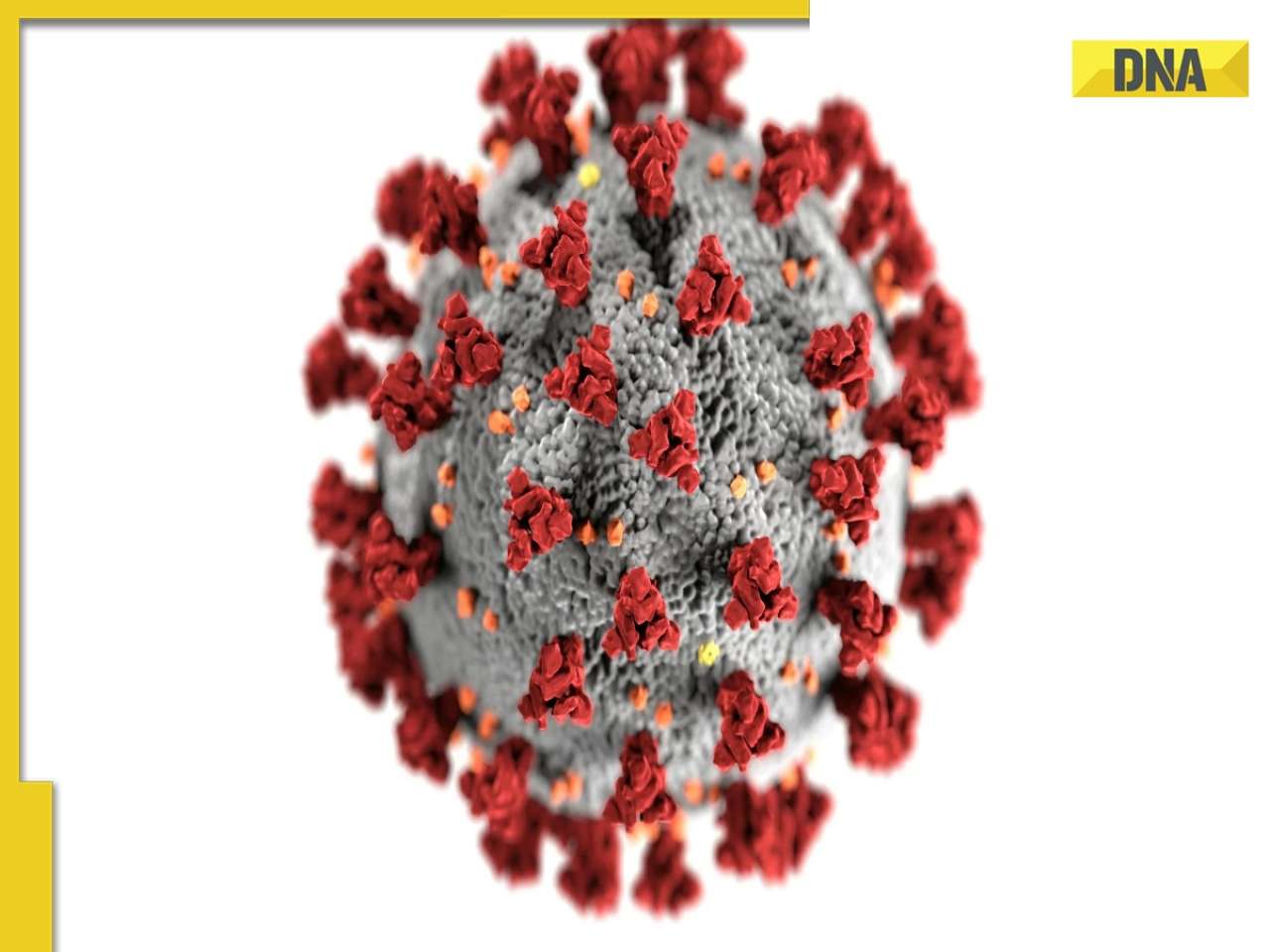 Delhi-NCR gets FIRST Covid-19 case after resurgence of virus, details inside 
