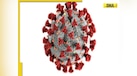  DNA TV Show: Covid-19 pandemic to hit again? India reports 312 cases of coronavirus amid resurgence 