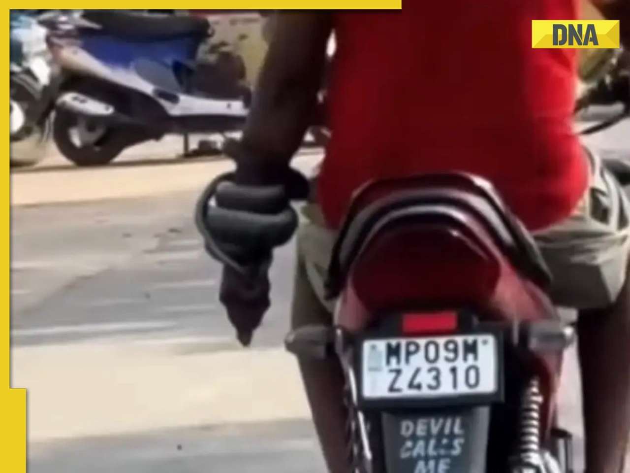 Viral video shows man riding bike with snake wrapped around wrist: 'Absolutely nonsense'
