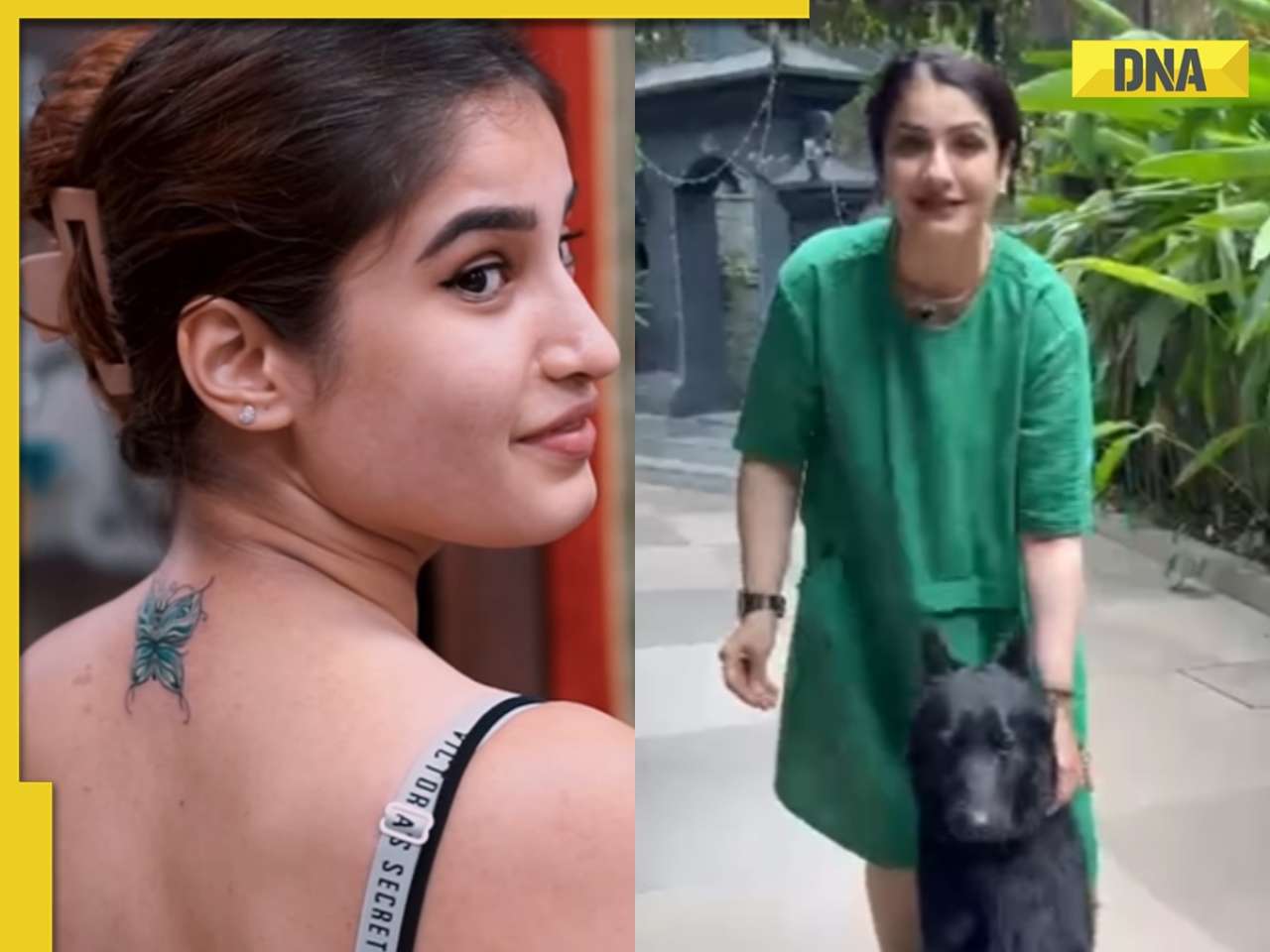 Rasha Thadani's first tattoo is inspired by mom Raveena Tandon, Mohra actress names her new dog Azaad; watch viral videos
