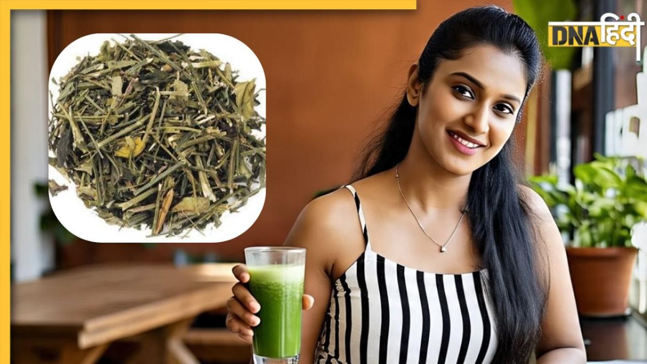 Diabetes Remedy: डायबिटीज का 'काल' है ये पौधा, पत्तियों से लेकर जड़ तक में है शुगर कम करने की ताकत